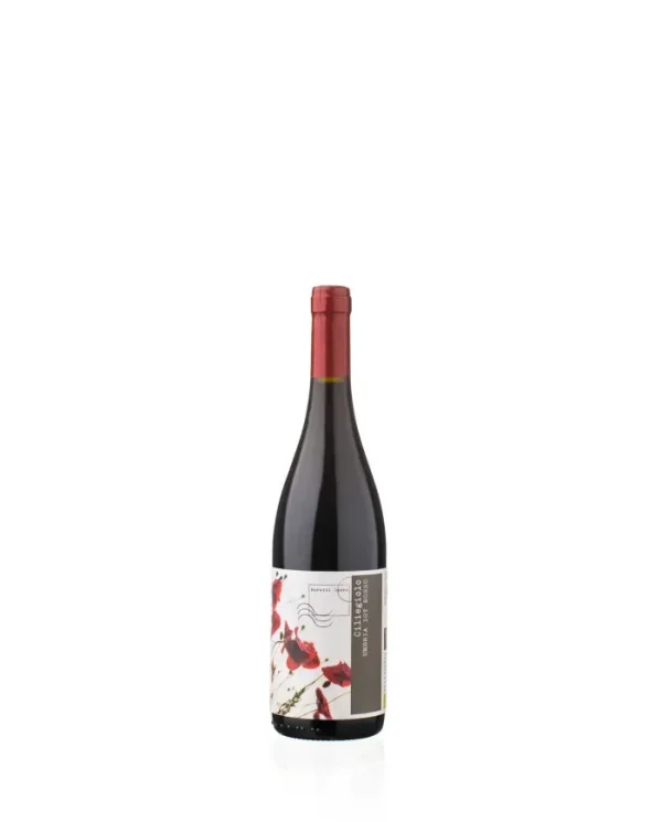 ciliegiolo-igt-umbria-bio-2021-moretti-omero-1.webp
